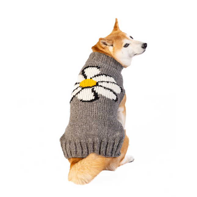 Big Daisy Dog Sweater