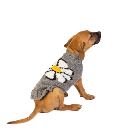 Big Daisy Dog Sweater