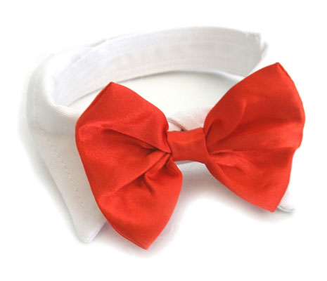 Red Satin Bowtie w/ White Cotton Collar