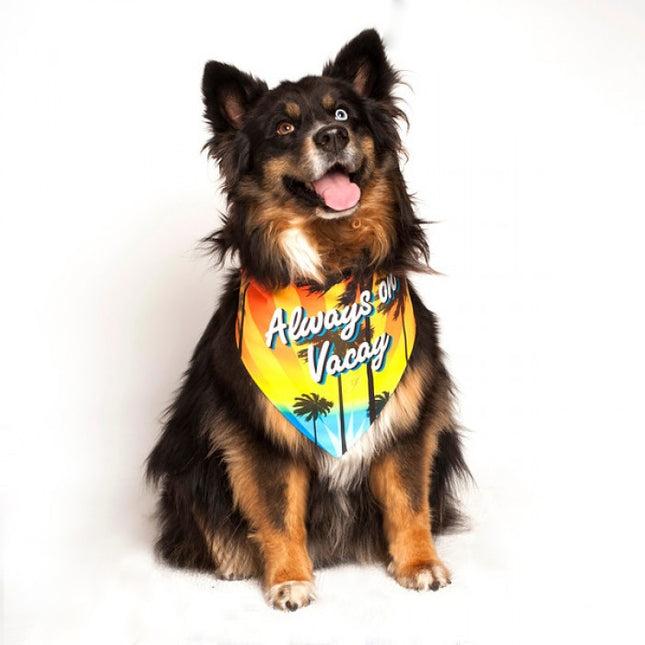 Always on Vacay Dog Bandana by Dog Fashion Living