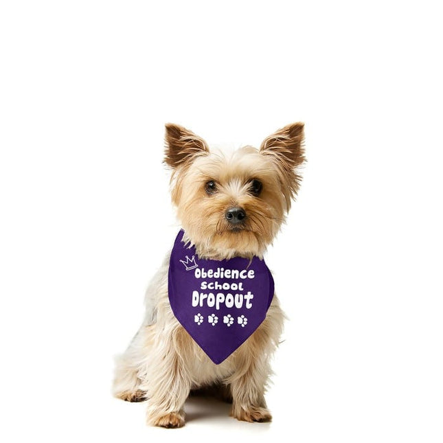 Obedience School Dropout by Dog Fashion Living