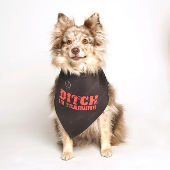 Bitch in Training Dog Bandana by Dog Fashion Living