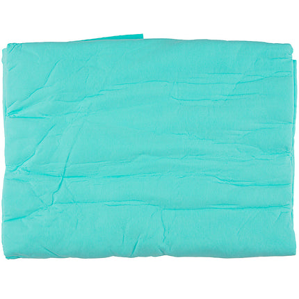 Absorption Towel Light Blue by Dog Fashion Spa