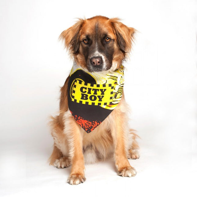 City Boy Dog Bandana by Dog Fashion Living