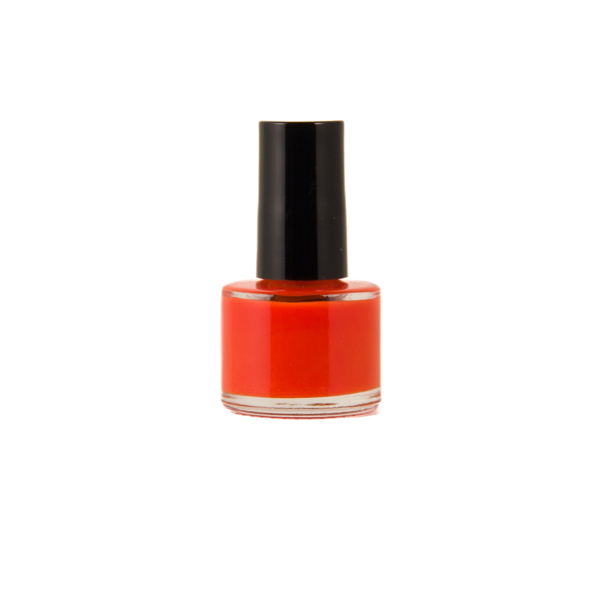 Disco Paw Orange Nail Polish by Dog Fashion Spa