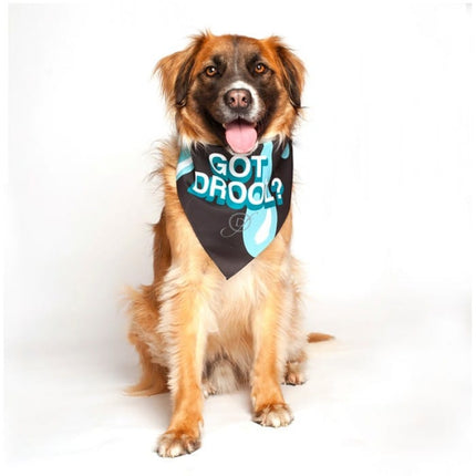 "Got Drool" Dog Bandana by Dog Fashion Living