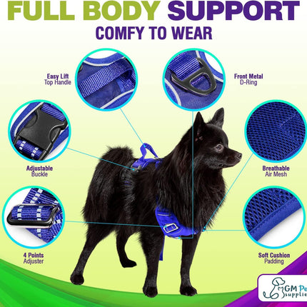 Dog Harness Walking kit and Leash Set