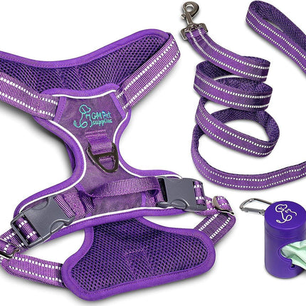 Dog Harness Walking kit and Leash Set