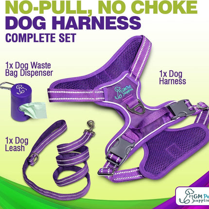 Dog Harness Walking kit and Leash Set