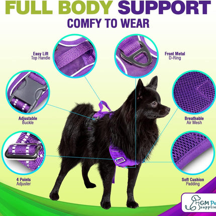 Dog Harness Walking kit and Leash Set