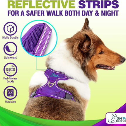 Dog Harness Walking kit and Leash Set