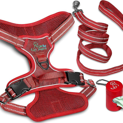 Dog Harness Walking kit and Leash Set