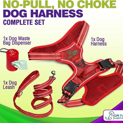 Dog Harness Walking kit and Leash Set