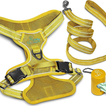 Dog Harness Walking kit and Leash Set