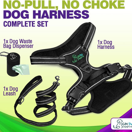 Dog Harness Walking kit and Leash Set