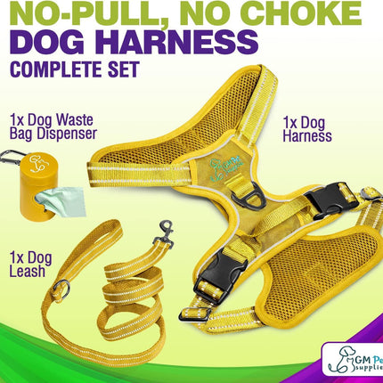 Dog Harness Walking kit and Leash Set