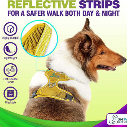 Dog Harness Walking kit and Leash Set