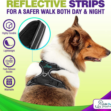 Dog Harness Walking kit and Leash Set