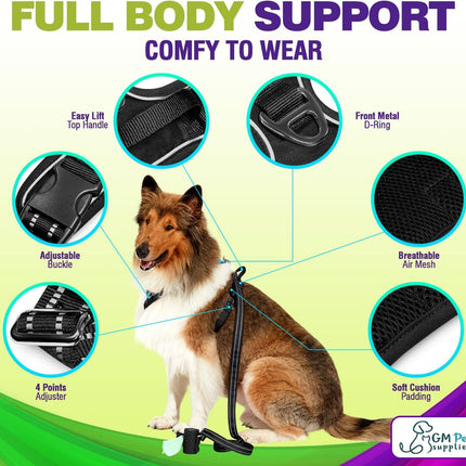 Dog Harness Walking kit and Leash Set