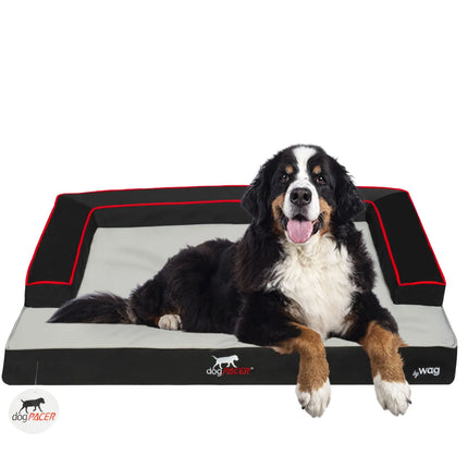 dogPACER Dog Bed