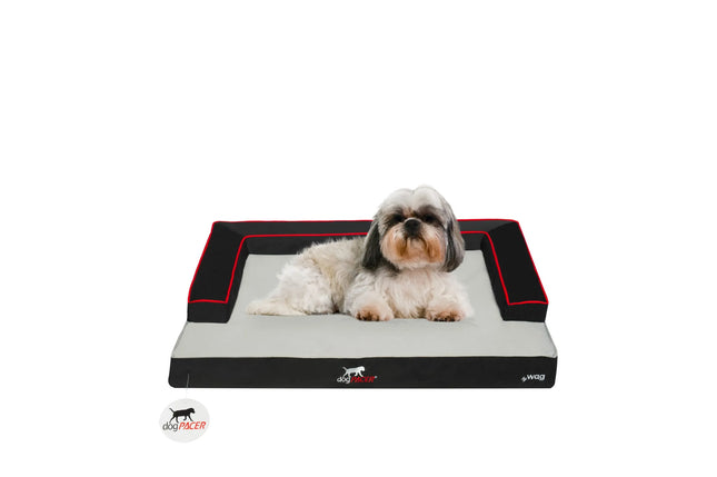 dogPACER Dog Bed