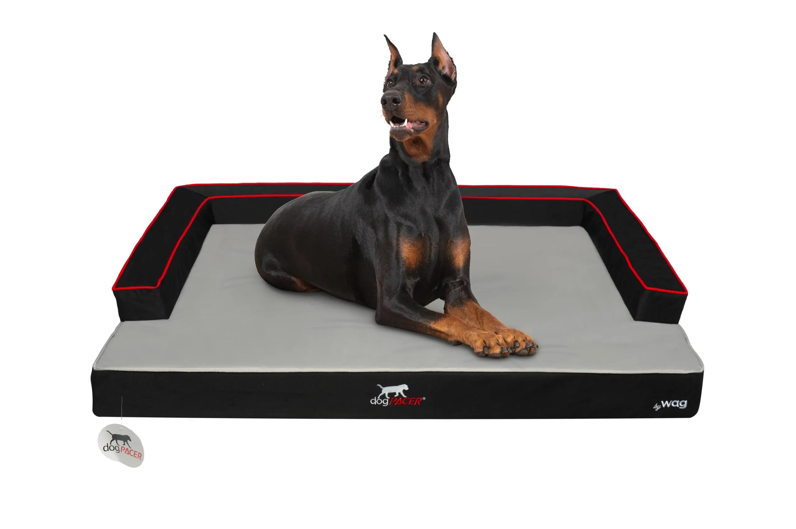 dogPACER Dog bed