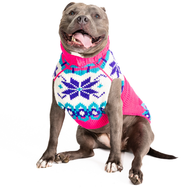 Elsa Dog Sweater