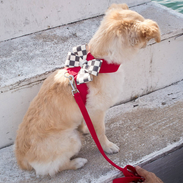 Red Solid Leash