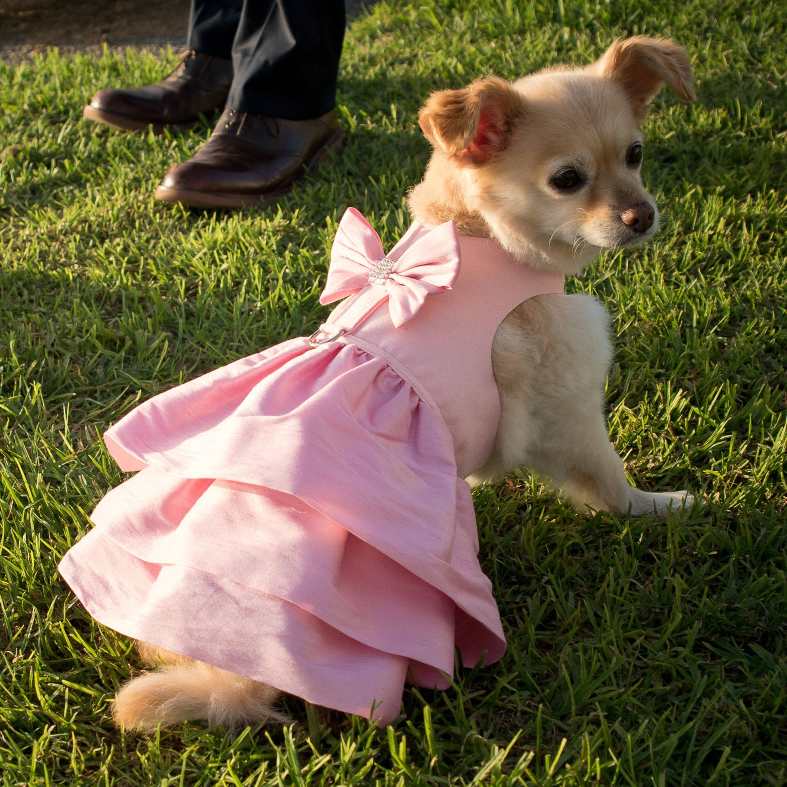 Puppy Pink Madison Dress