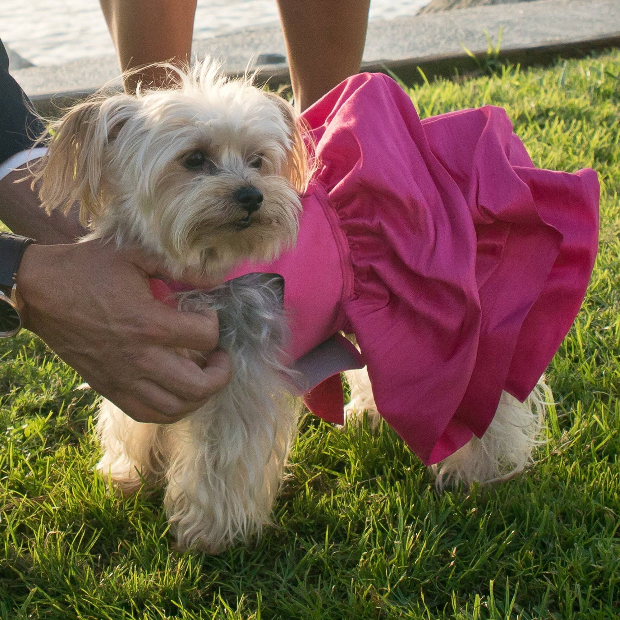 Pink Sapphire Madison Dress