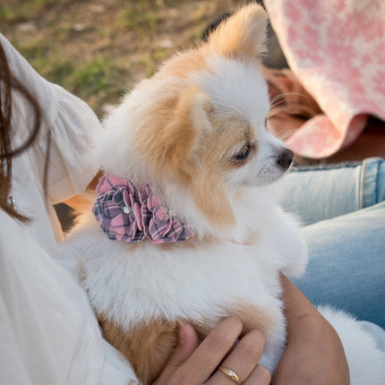 Scotty Puppy Pink Plaid Tinkie's Garden Flower Collar