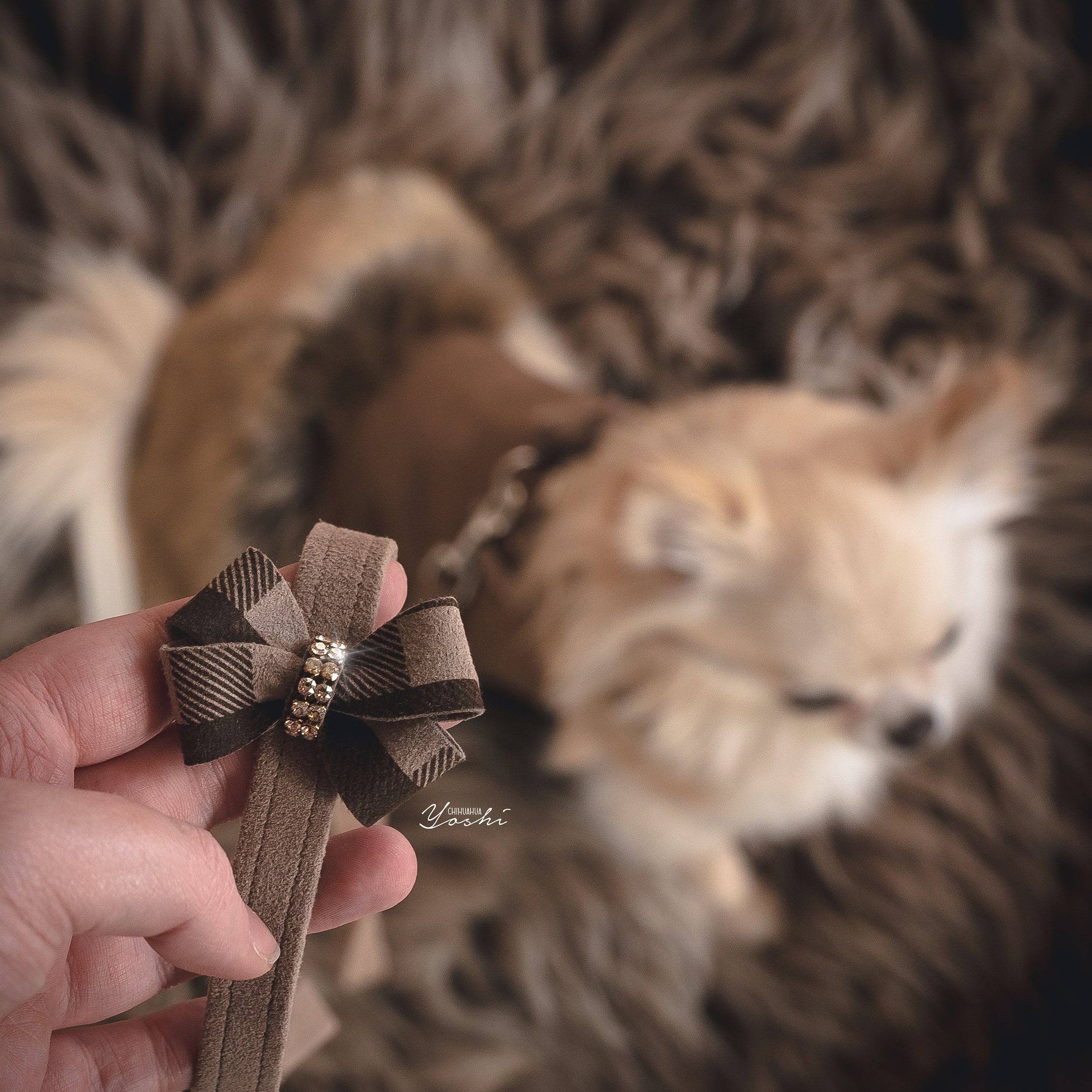 Fawn Gingham Nouveau Bow Leash