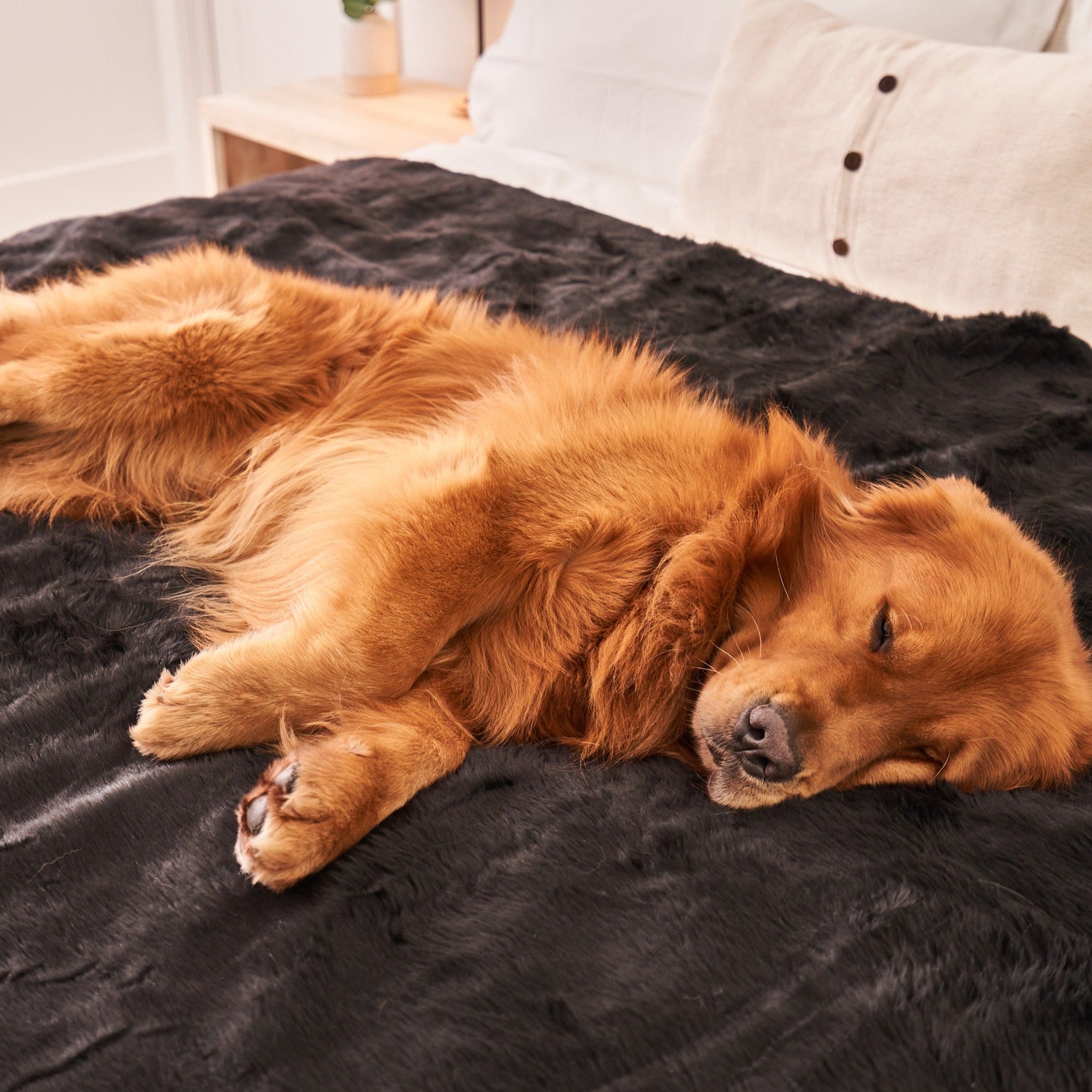 PupProtector™ Short Fur Waterproof Throw Blanket - Midnight Black