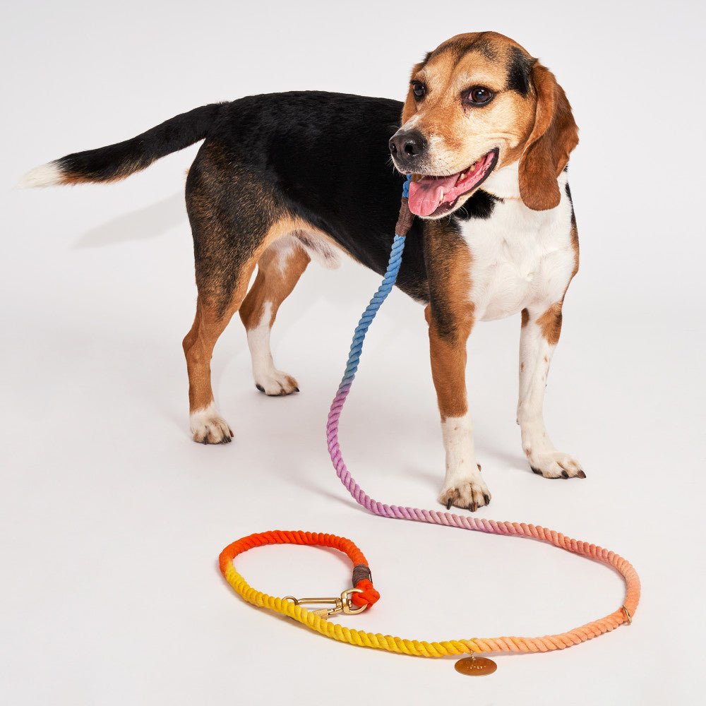 Found My Animal Soleil Cotton Rope Leash, Adjustable