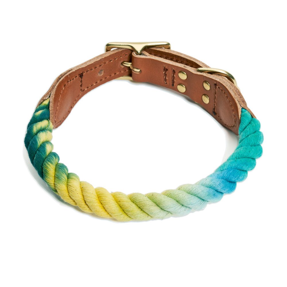 Found My Animal X Petco Azure Cotton Rope Dog Collar