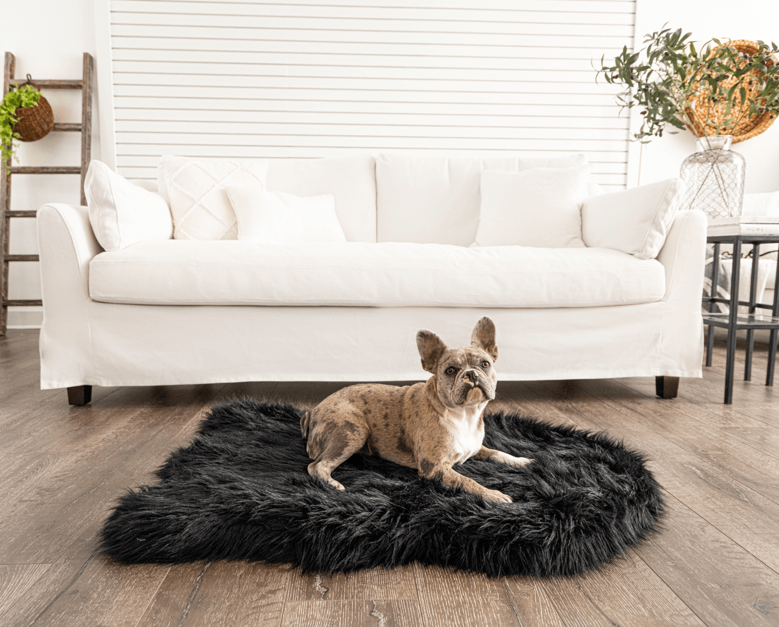 PupRug Faux Fur Orthopedic Dog Bed - Curve Midnight Black Medium (40