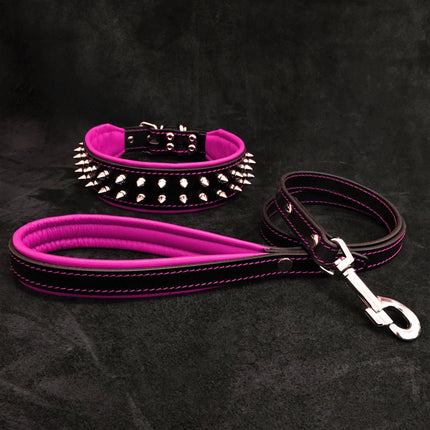 "Frenchie" Set- collar & leash. Pink