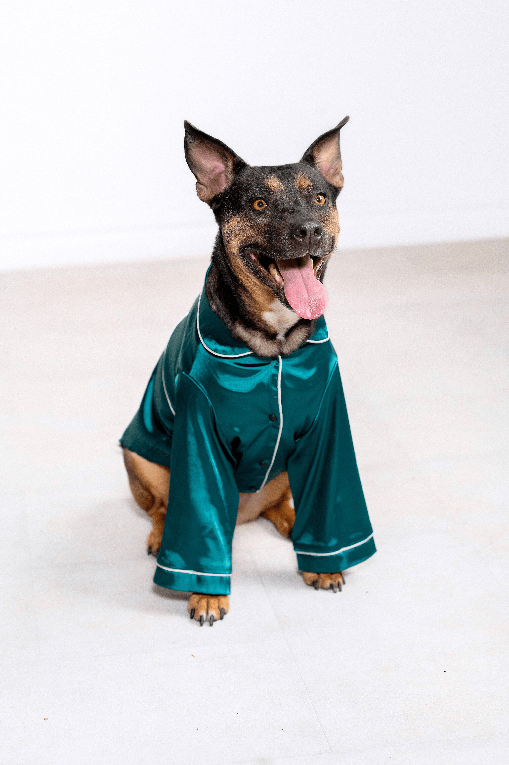 Georgina Pet Pajama Set