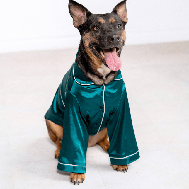 Georgina Pet Pajama Set