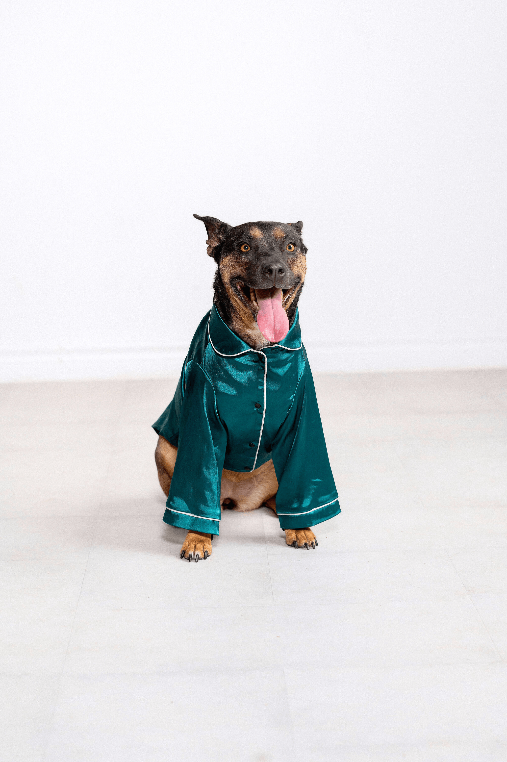 Georgina Pet Pajama Set