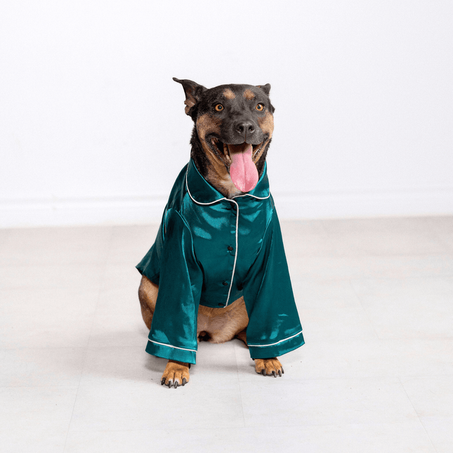 Georgina Pet Pajama Set