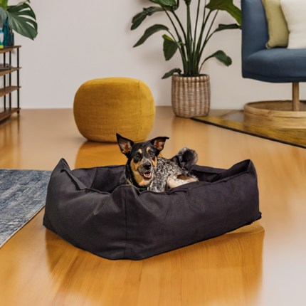 Oasis Plush Pillow Dog Bed