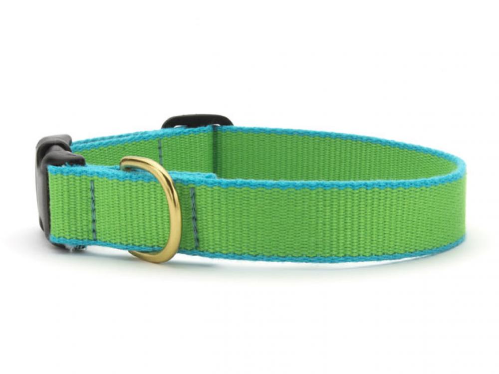 Color Market Dog Collar - Wide Lime & Aqua