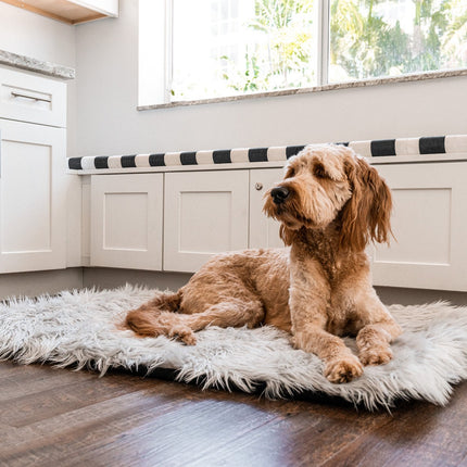 PupRug by Paw.com™ Portable Orthopedic Dog Bed - Grey