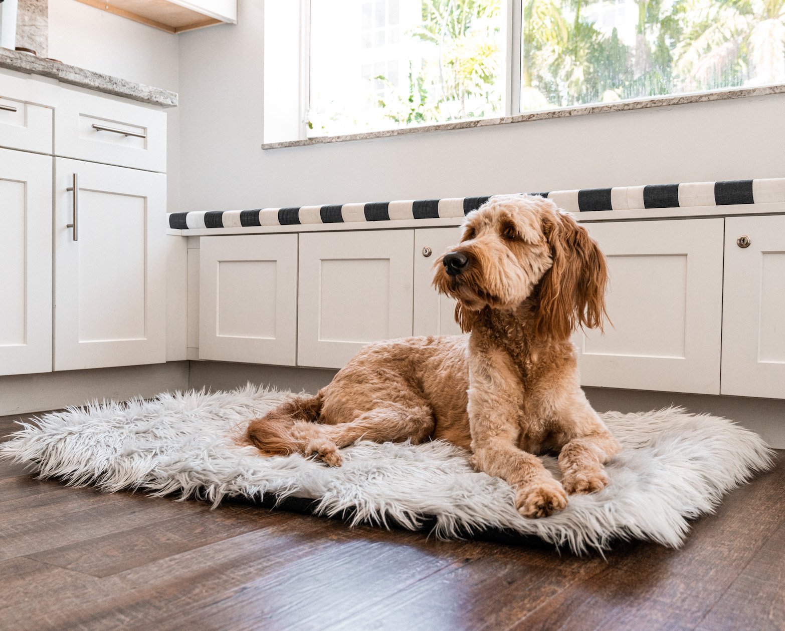 PupRug Portable Orthopedic Dog Bed - Grey