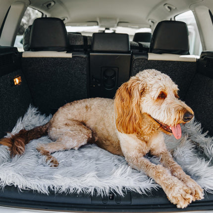 PupRug by Paw.com™ Portable Orthopedic Dog Bed - Grey