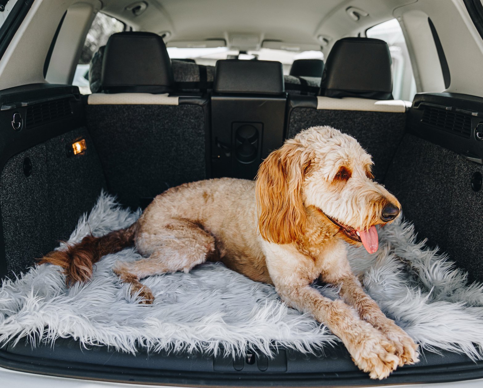 PupRug Portable Orthopedic Dog Bed - Grey