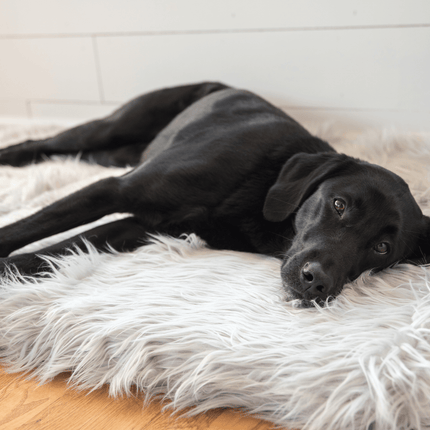 PupRug Faux Fur Orthopedic Dog Bed - Rectangle Grey