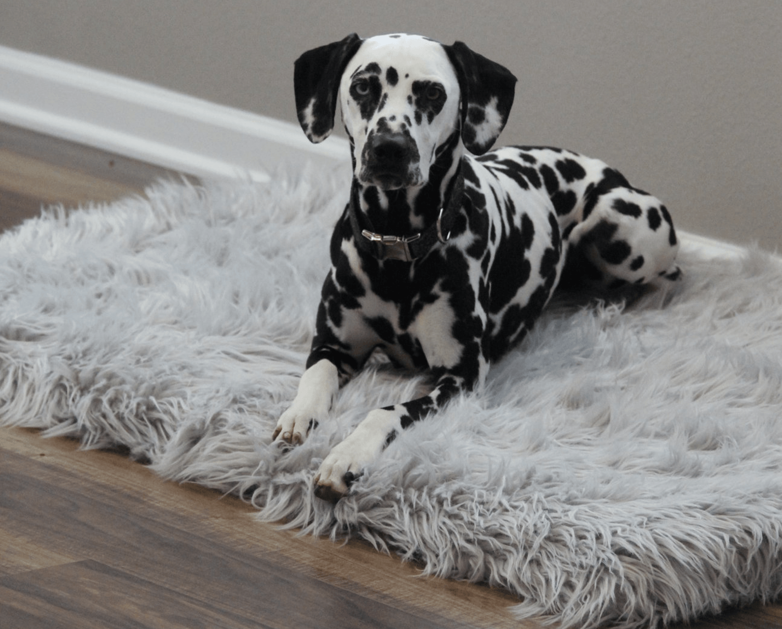 PupRug Faux Fur Orthopedic Dog Bed - Rectangle Grey