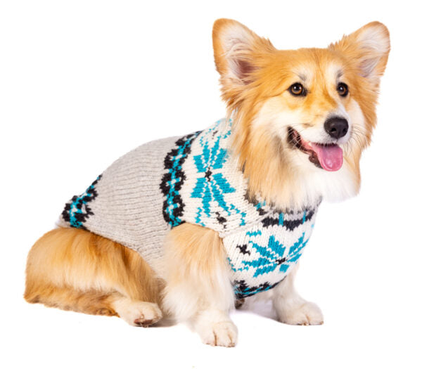 Frost Dog Sweater